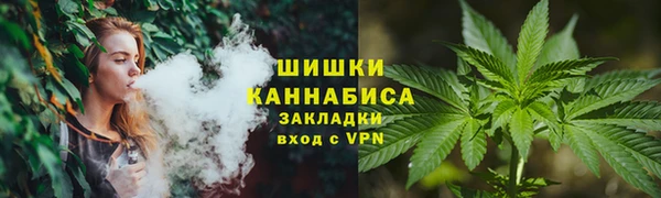 ПСИЛОЦИБИНОВЫЕ ГРИБЫ Горно-Алтайск